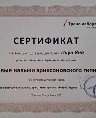 "Базові навички еріксонівського гіпнозу." 2021 рік Транс- лабораторія. Автор та тренер Андрій Яценко.