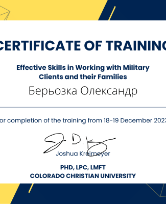 Blue Yellow Minimalist Internship Certificate (39)-1.png