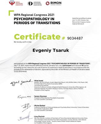 evgeniy-tsaruk-9034487-certificate_page-0001.jpg.pagespeed.ce.RHk7wstLxr (1).jpg