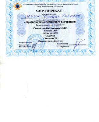 Сертификат "Профилактика эмоционального выгорания "
