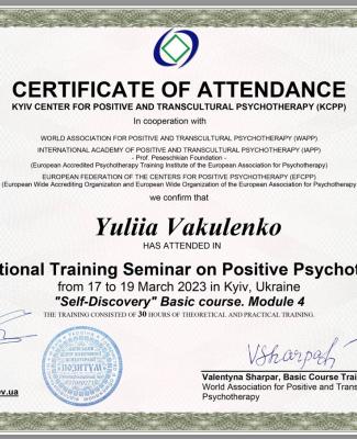 ITS on Positive Psychotherapy "Self-Discovery"